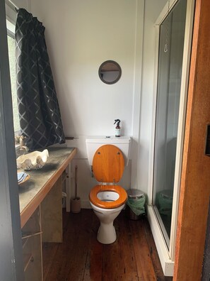 Shower, towels, toilet paper