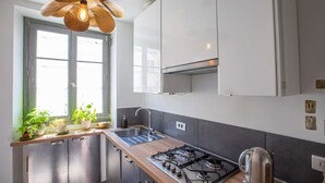 Una cocina moderna con estufa a gas, electrodomésticos de acero inoxidable y una ventana con plantas en macetas.