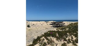 House on the dune, panoramic ocean view
