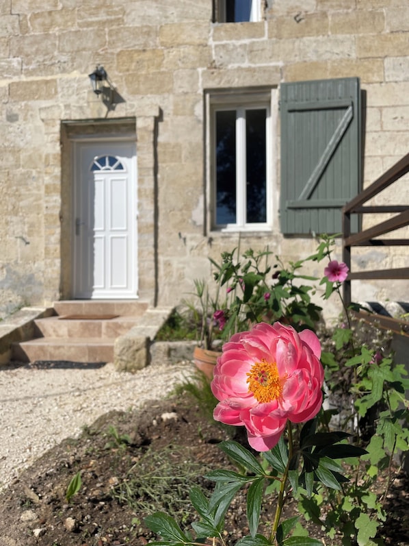 Detalle exterior