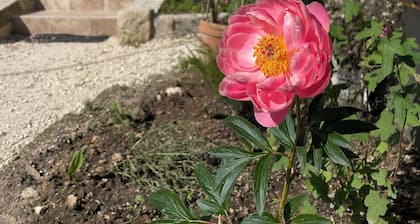Maison A l'Ombre du ChĂȘne Saint-Emilion
