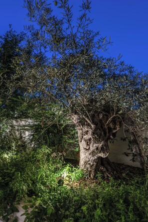 Property grounds - Olea Suite Pomegranate (Polignano a Mare)