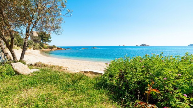 A beach with clear blue water, a sandy shore, and green vegetation. - Nice apartment for 7 people with A/C, WIFI and pets allowed (Baunei)