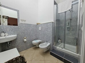 Shower, hair dryer, bidet, towels