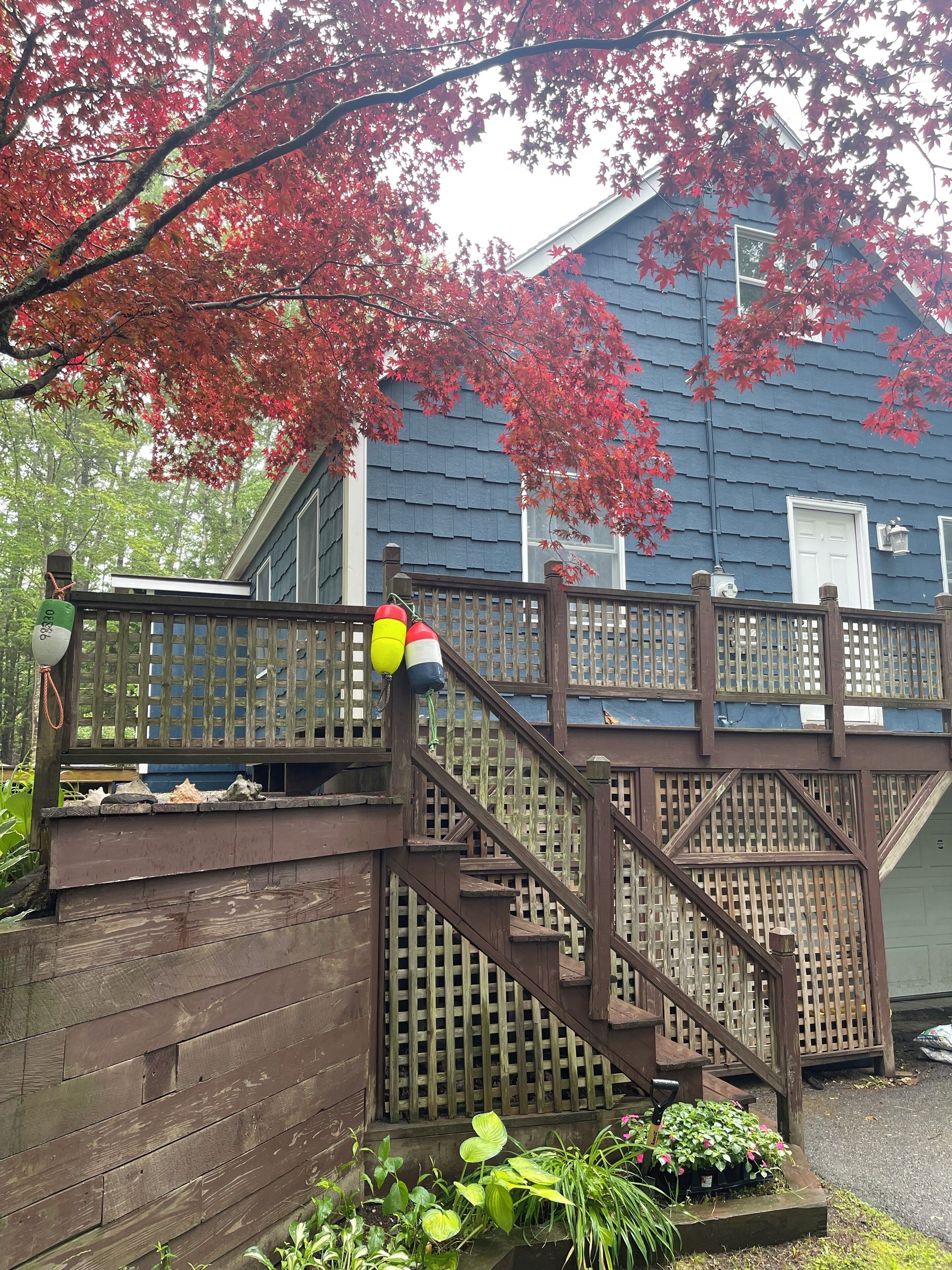 A wooden staircase leading to a deck with a railing, surrounded by plants and a blue house in the background.