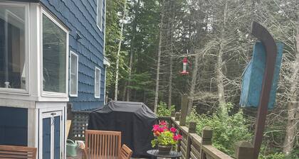 Modern Cape -3 Bedroom- Boothbay Harbor - Near Ocean -Golf-Botanical Gardens