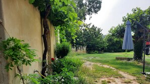 A garden with a yellow wall, a metal pot, and a blue umbrella.