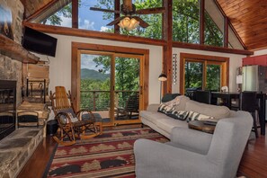 Smart TV, fireplace, DVD player, books