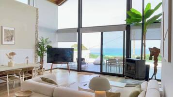 Télévision, cheminée, espaces bureaux