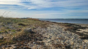 Un sendero costero con piedras y algas marinas, que lleva a una playa con vistas al mar y árboles distantes.