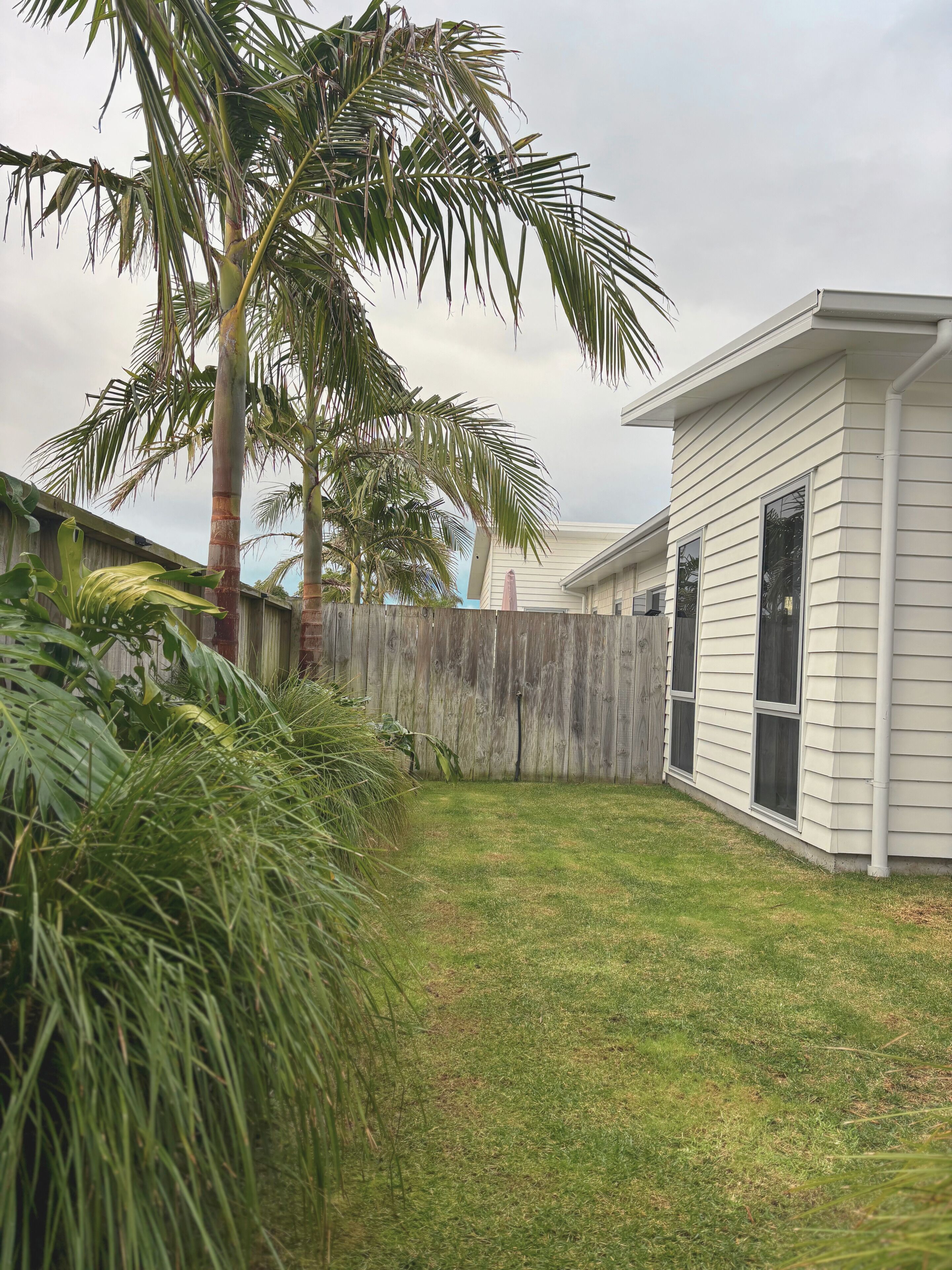 A residential backyard with a palm tree, a wooden fence, and a house with white siding and large windows.