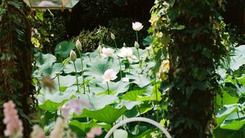 Apartment | 2 bedrooms, Internet