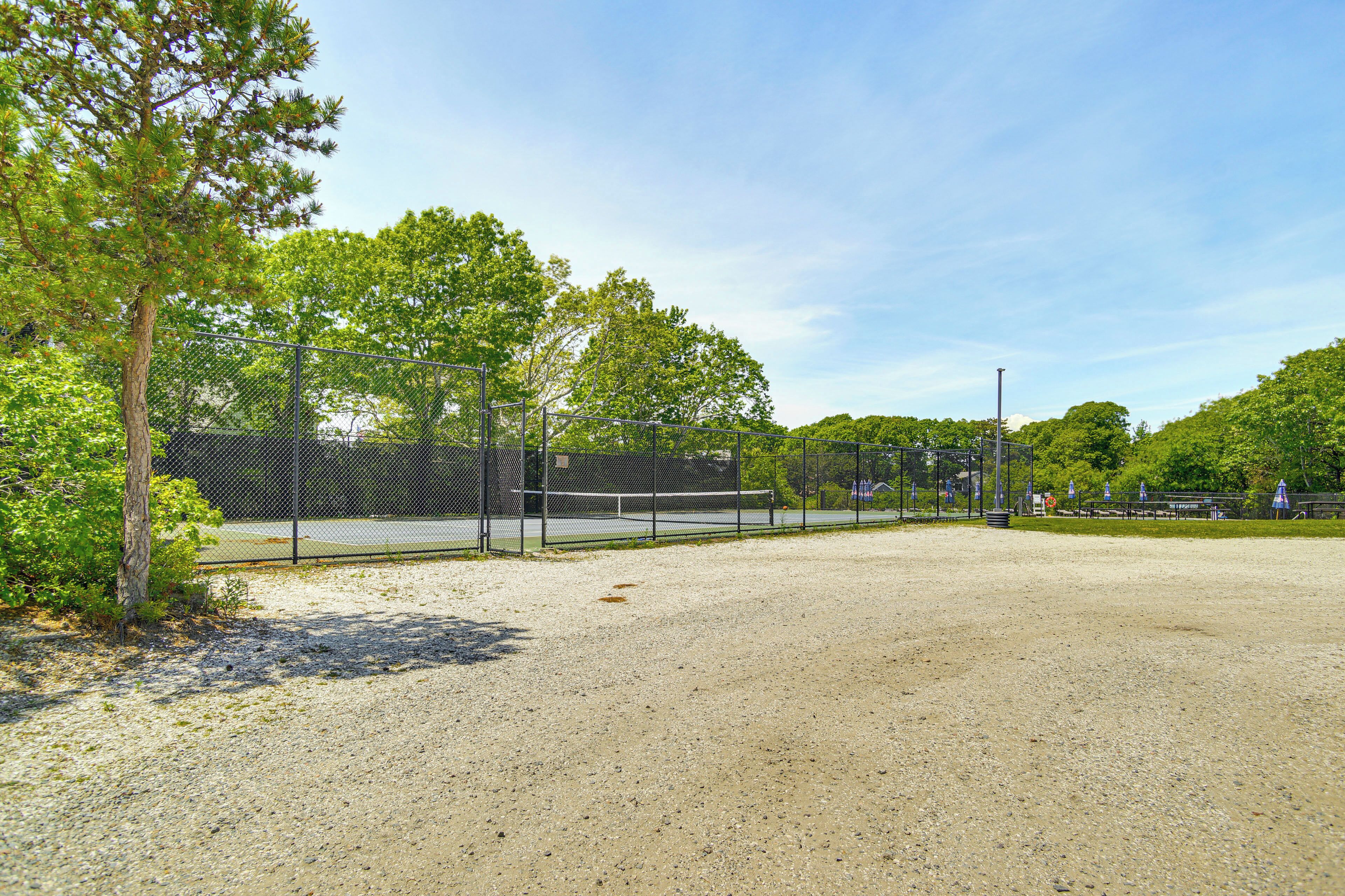 A tennis court with a fence, trees, and a clear sky.