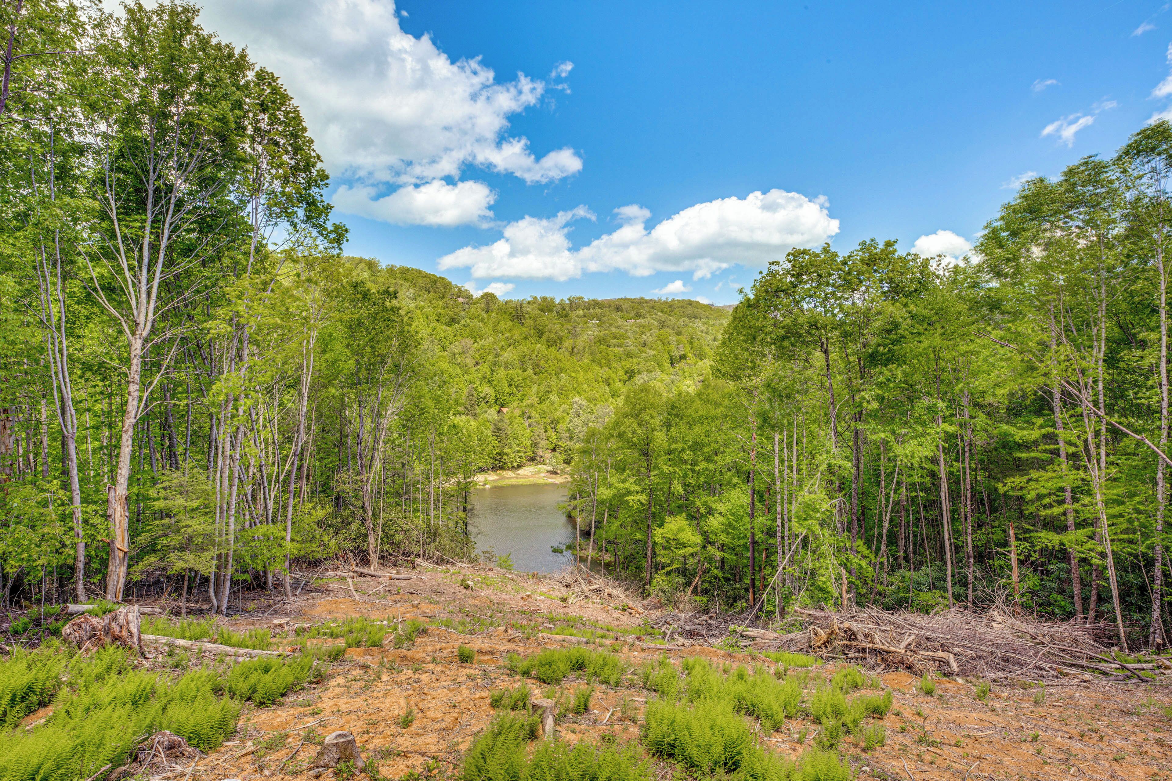 Une zone boisée avec un lac entouré d’arbres et un ciel dégagé.