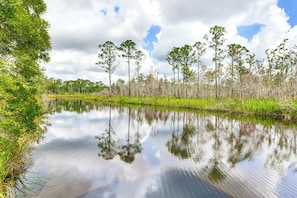 A calm water body surrounded by trees and vegetation. - Canal-front Abode w/ Private Dock in Bay St Louis (Bay St Louis)