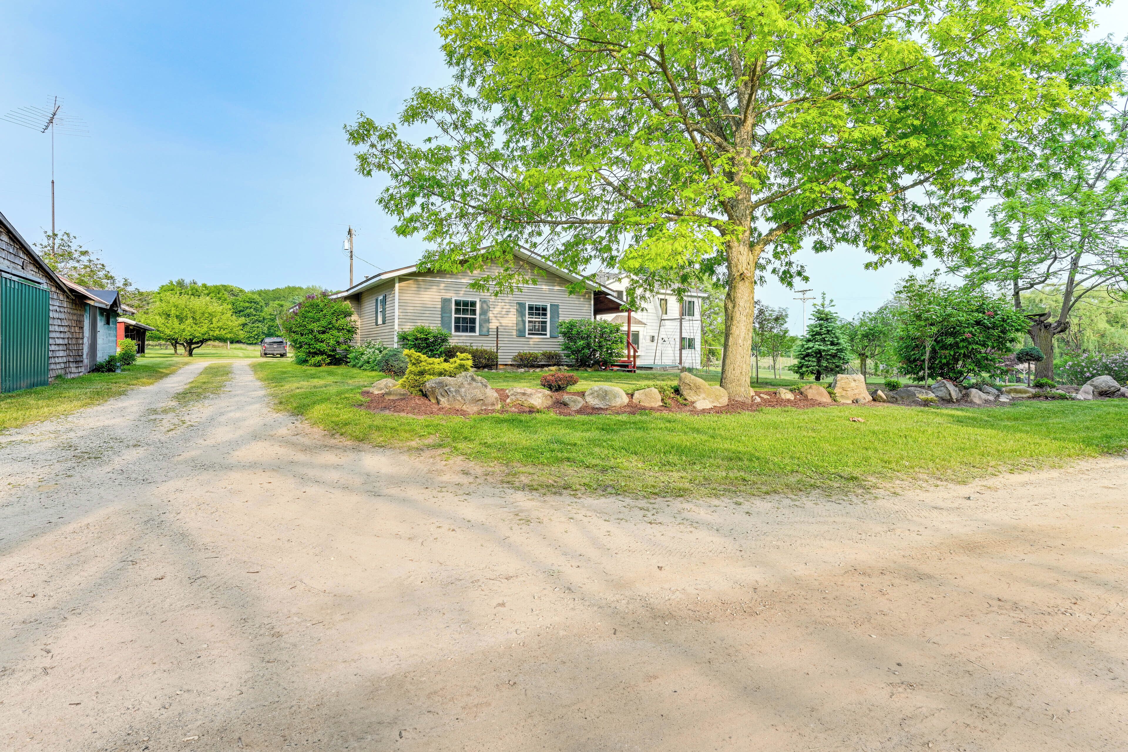 A rural road leading to a house with a large tree in front.
