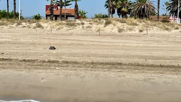 Accommodatie ligt op het strand
