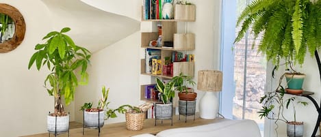 Una sala de estar con un sofá blanco, una estantería y varias plantas en macetas.