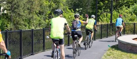 A paved pathway with cyclists, surrounded by greenery and a black metal fence.