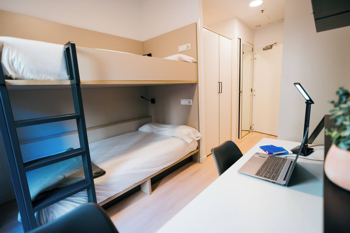 Un letto a castello con una scrivania e una sedia, un portatile e una pianta in vaso.