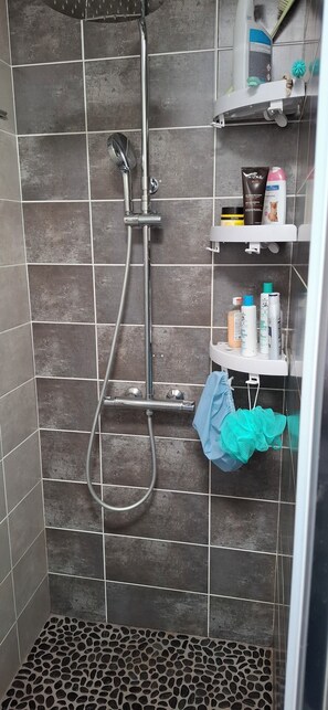 Shower, towels, soap, toilet paper