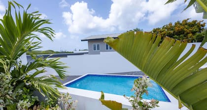 Modern Garden Villa Near Jan Thiel Mambo