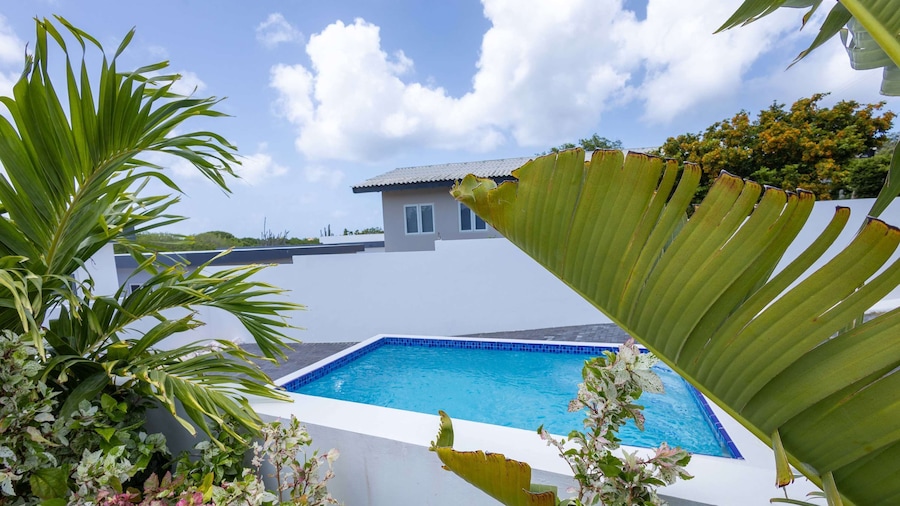 Modern Garden Villa Near Jan Thiel Mambo