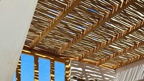 Un espace extérieur accueillant avec un banc en bois, un canapé confortable et un cactus.