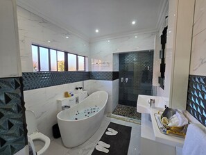 Shower, towels, soap, toilet paper