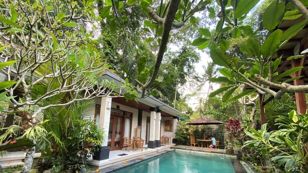 A pool area with a wooden deck, a covered seating area, and lush greenery surrounding the space.