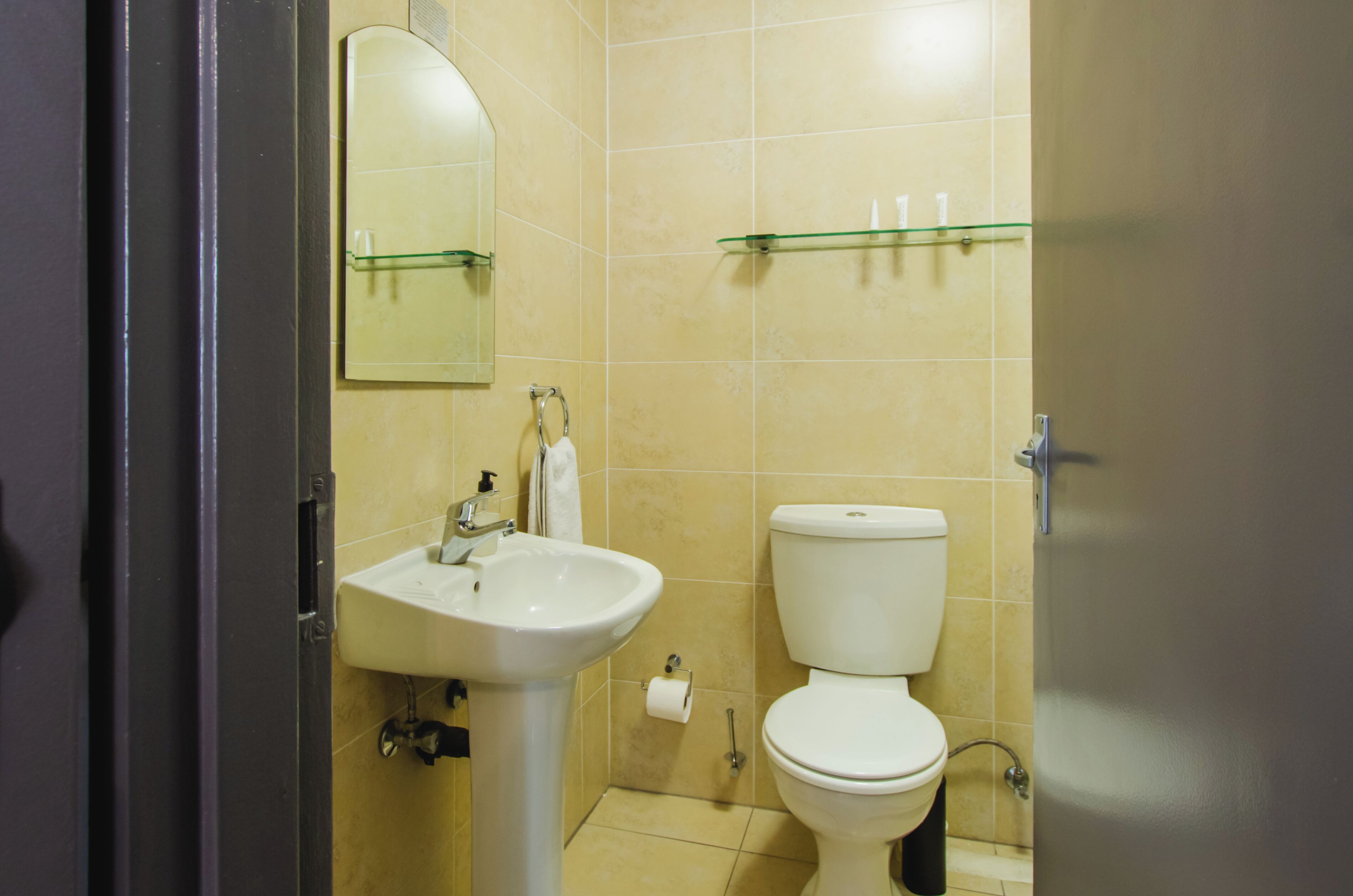 Een badkamer met een wastafel, toilet, spiegel en een glazen plank met toiletartikelen.