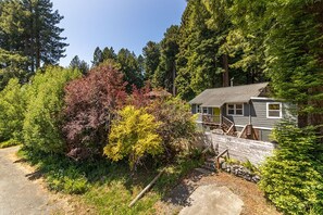 A house with a porch, surrounded by dense forest.