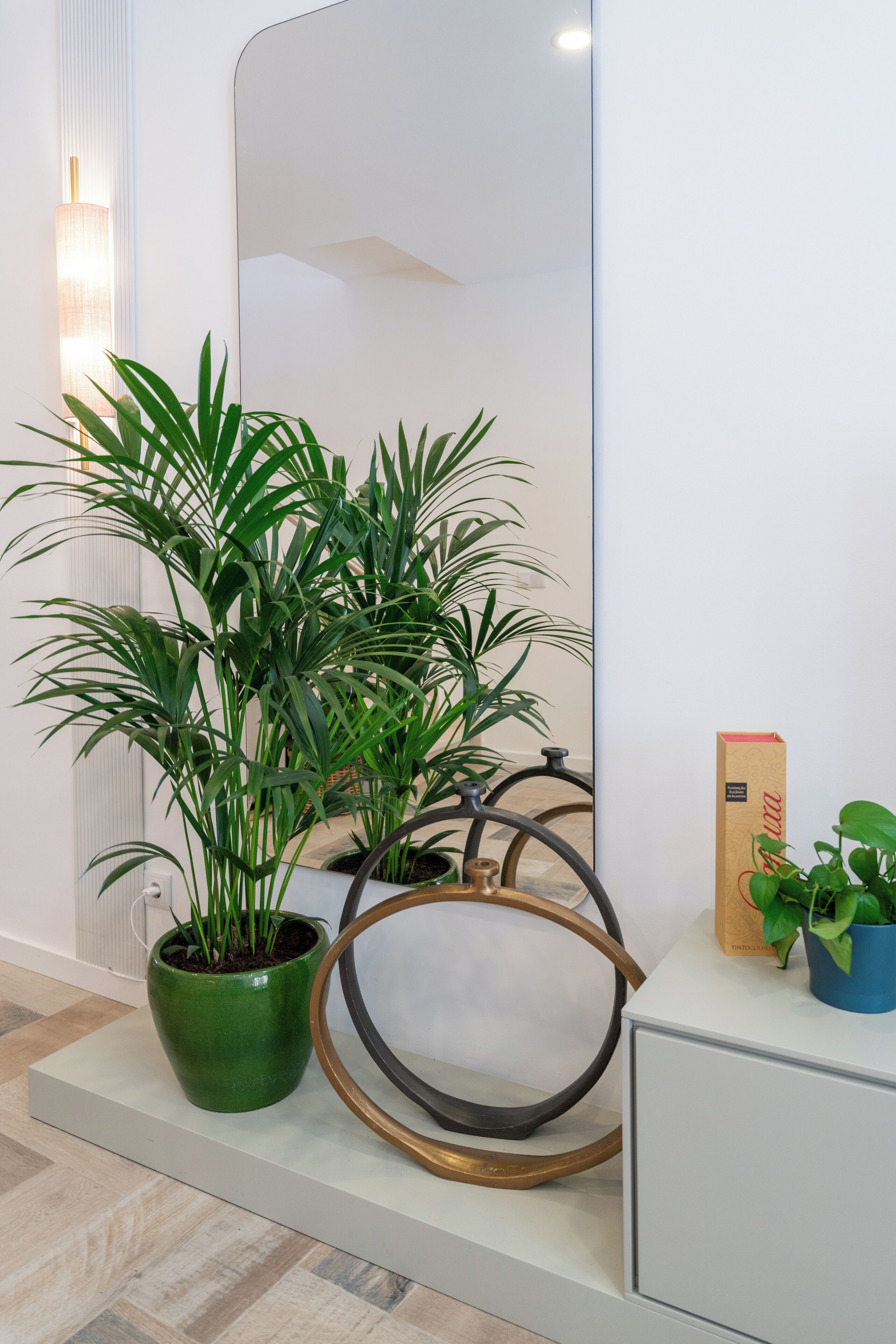 Una habitación moderna con un espejo grande, una planta en maceta verde, una planta en maceta azul y una caja de cartón sobre un mueble blanco.