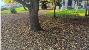 Apartment (1 Bedroom) | Garden view