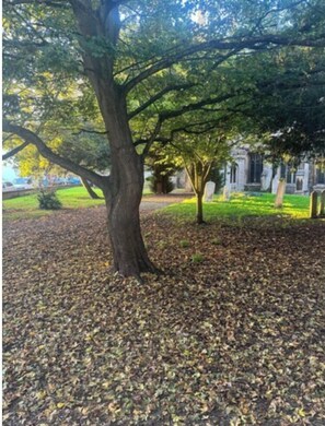 Apartment (1 Bedroom) | Garden view