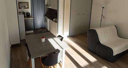 Studio 35m2 au pied des pistes