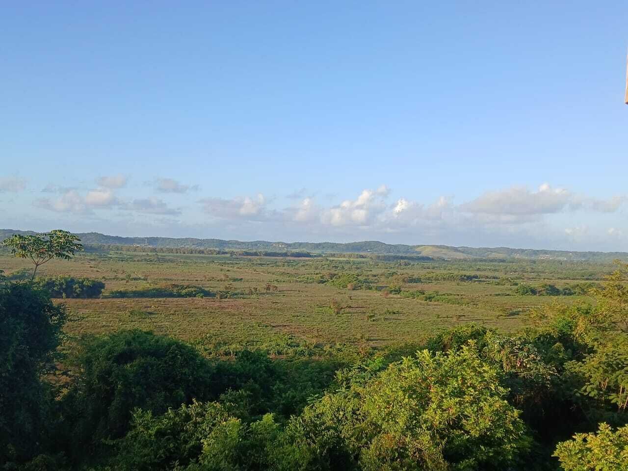 Un vaste paysage caractérisé par un ciel dégagé, des collines lointaines et une végétation luxuriante au premier plan.