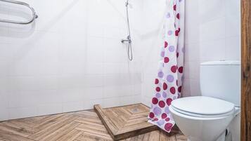 Shower, towels, toilet paper