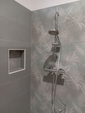 Shower, hair dryer, towels, toilet paper