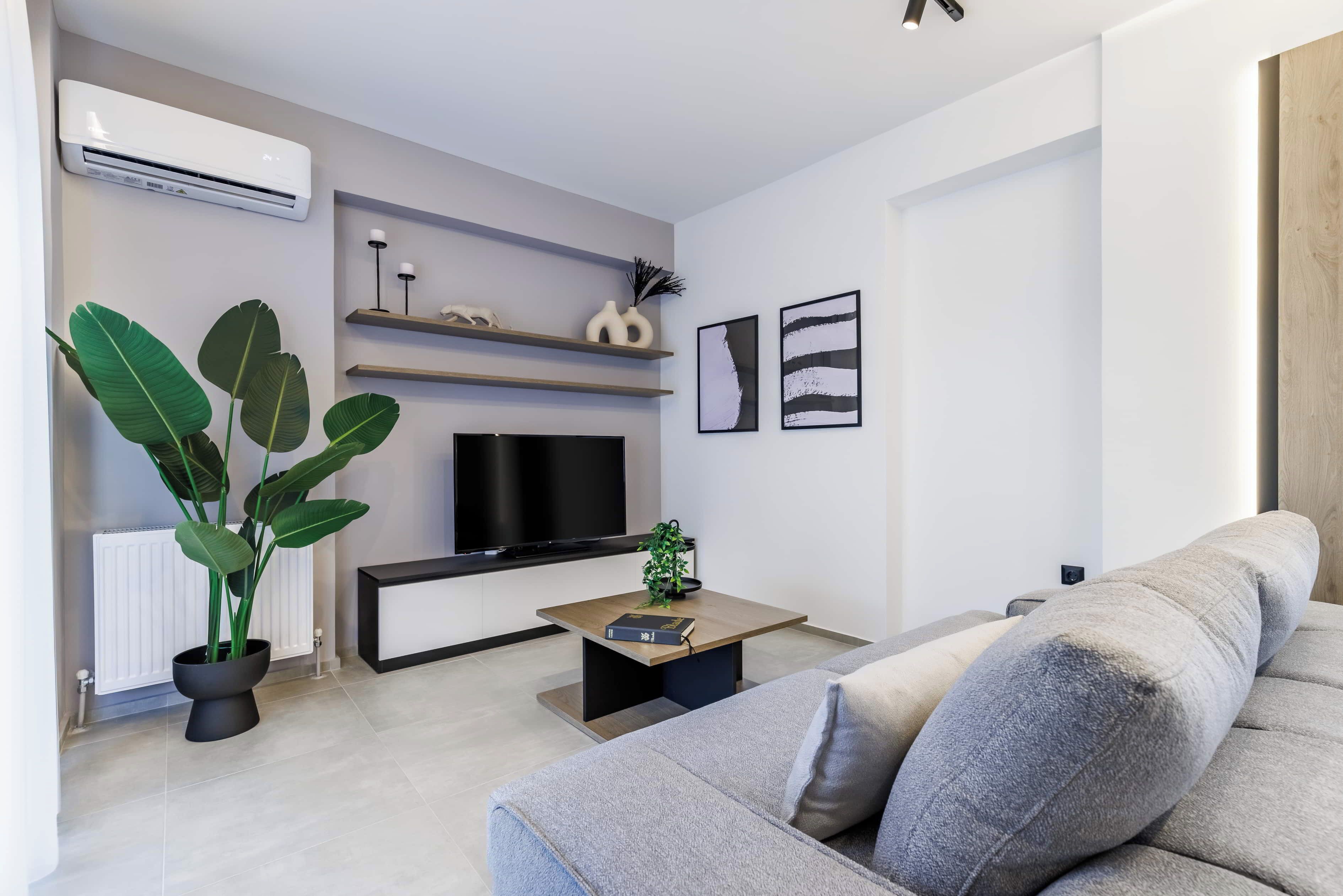 A modern living room with a grey sofa, a coffee table, a flat-screen TV, and a potted plant.