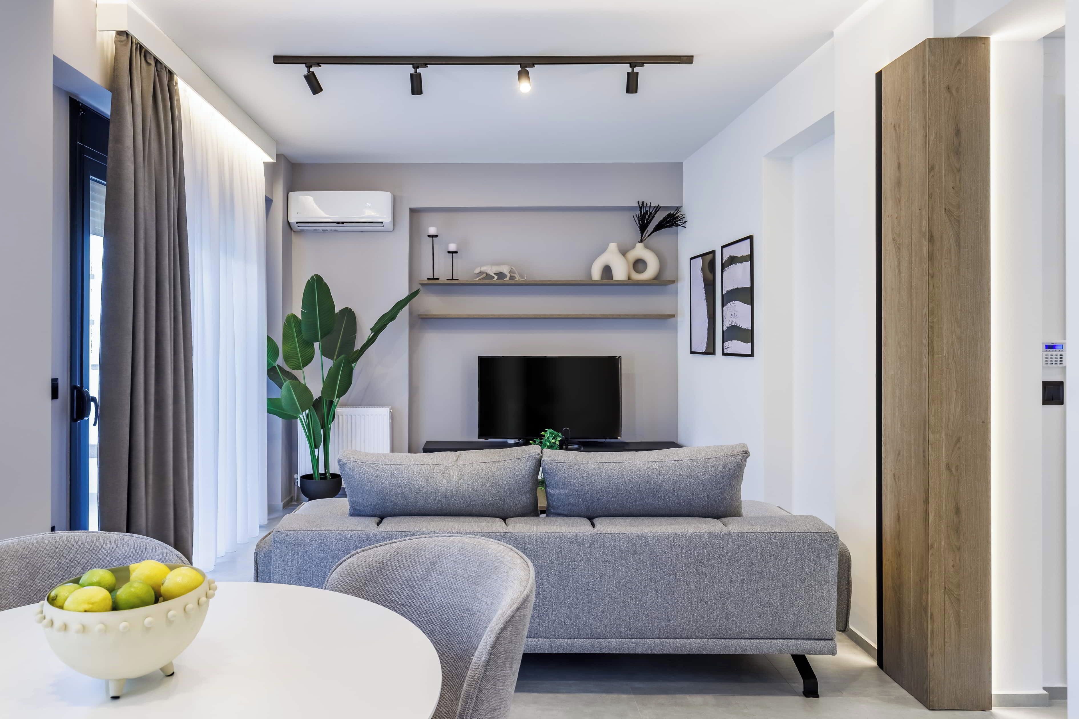A modern living room with a grey sofa, a flat-screen TV, and a large plant.