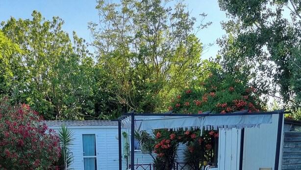 Un espacio cubierto de césped con flores amarillas, un área de estar al aire libre con mesas y sillas, y un edificio al fondo.