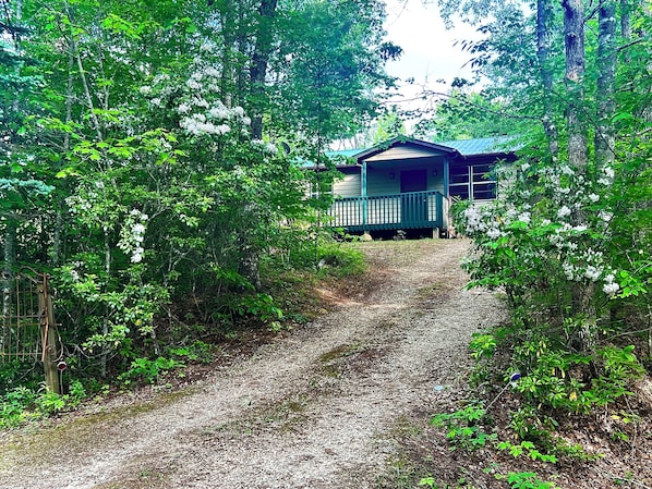 A gravel path leading to a cabin surrounded by dense forest. - Hot Tub, WIFI, Near Bryson City, Fontana, Pets Ok, Gated Deck community lake (Robbinsville)
