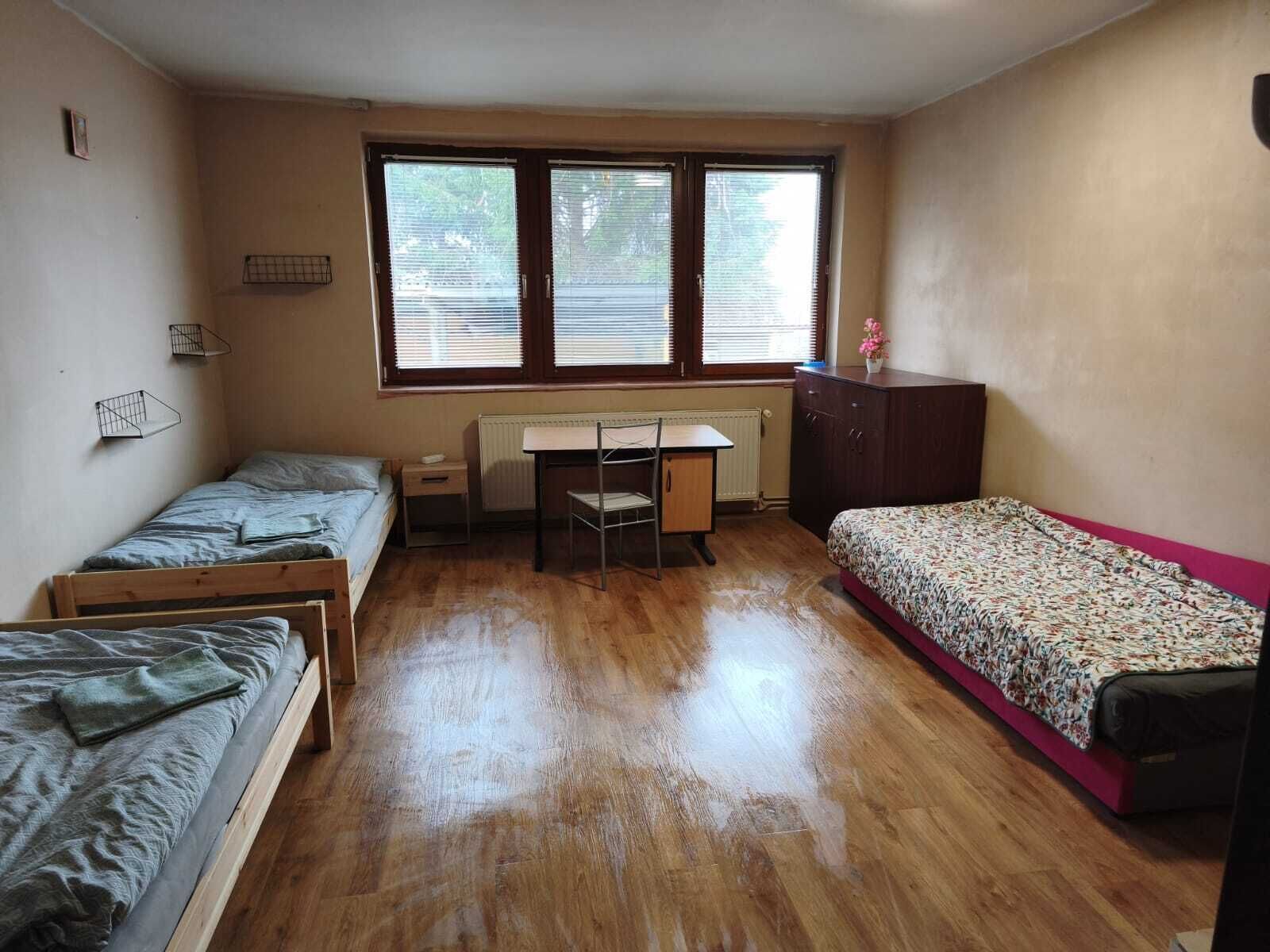 شقة عادية | واي فاي مجانًا