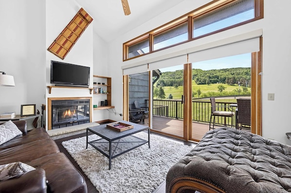 TV, fireplace