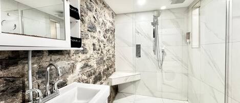 Shower, hair dryer, towels