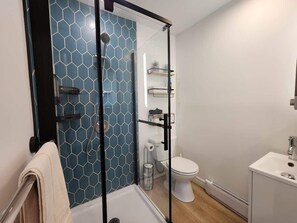 Regadera, secadora de cabello, toallas, jabón 