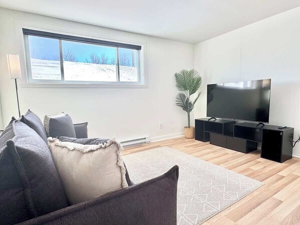 Televisión y oficina 