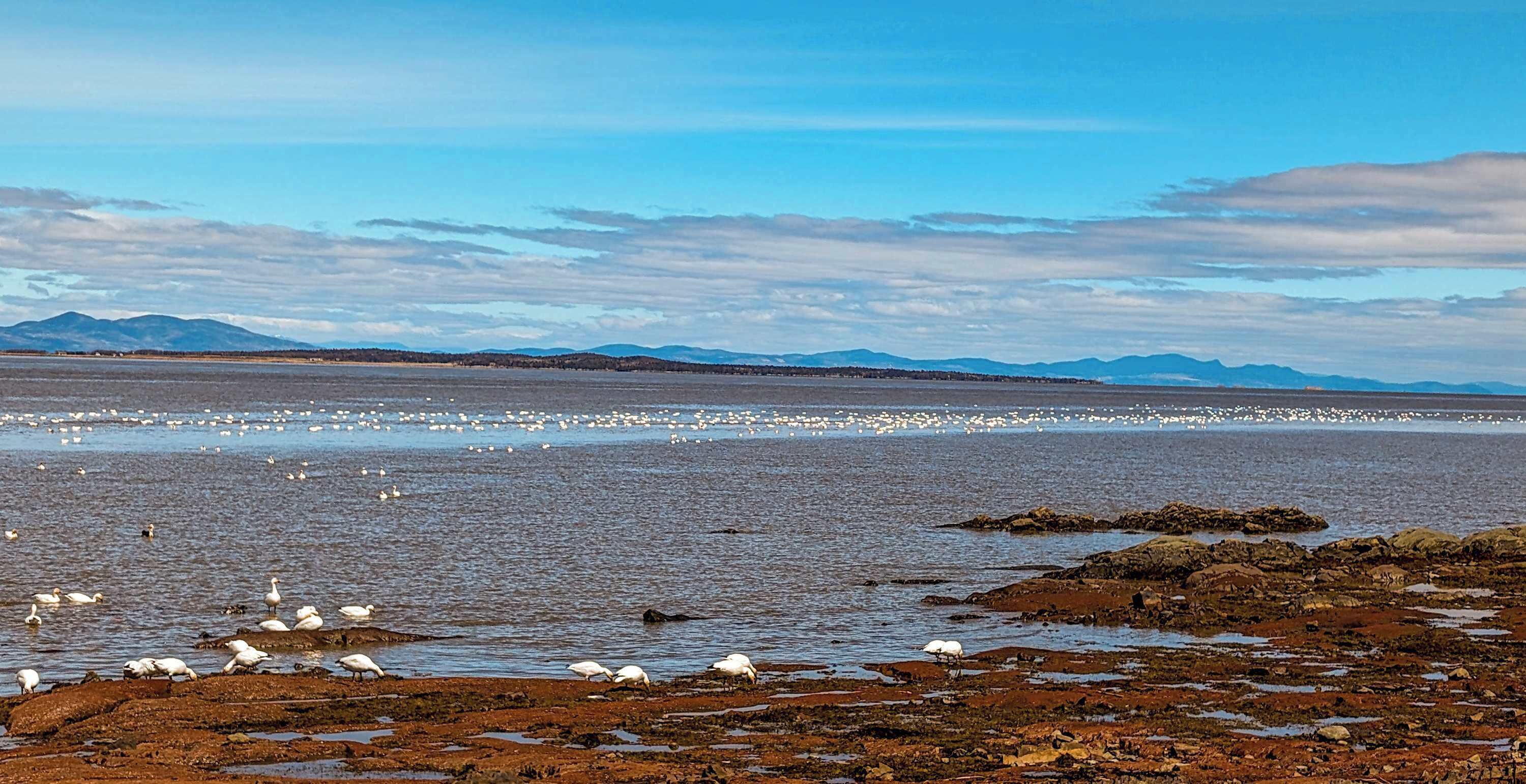 A coastal landscape with rocky shores and a distant mountain range.