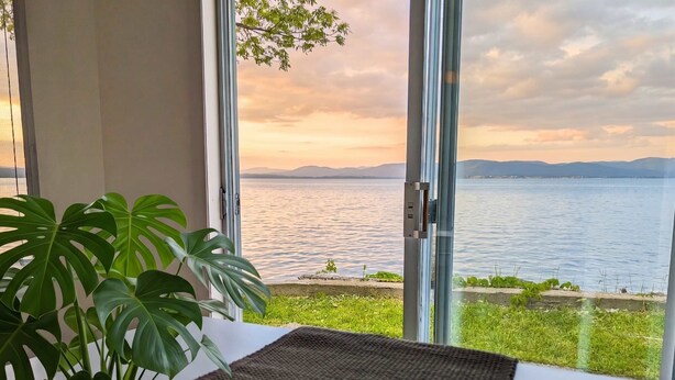 A room with a large window overlooking a body of water, a potted plant, and a textured mat on the floor.